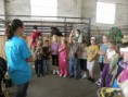 /album/farma-bitozeves/farma-bitozeves-23-jpg/